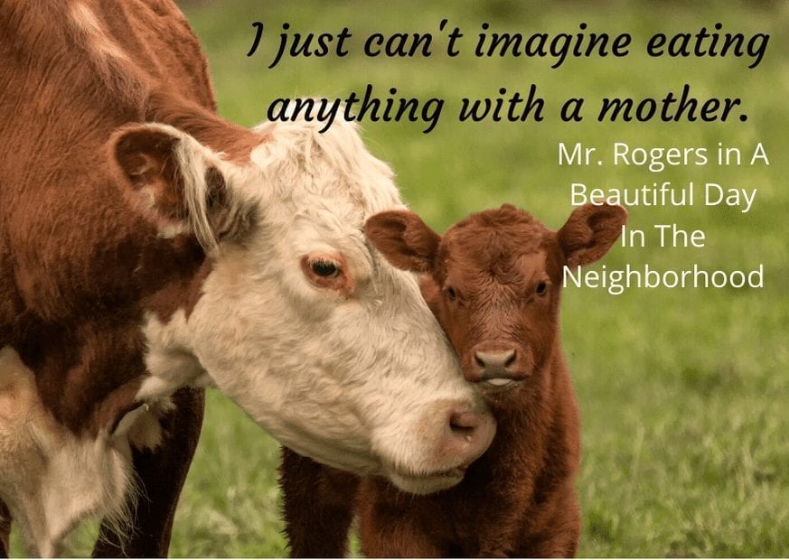Mr. Rogers' quote vegetarian beautiful day in the neighborhood